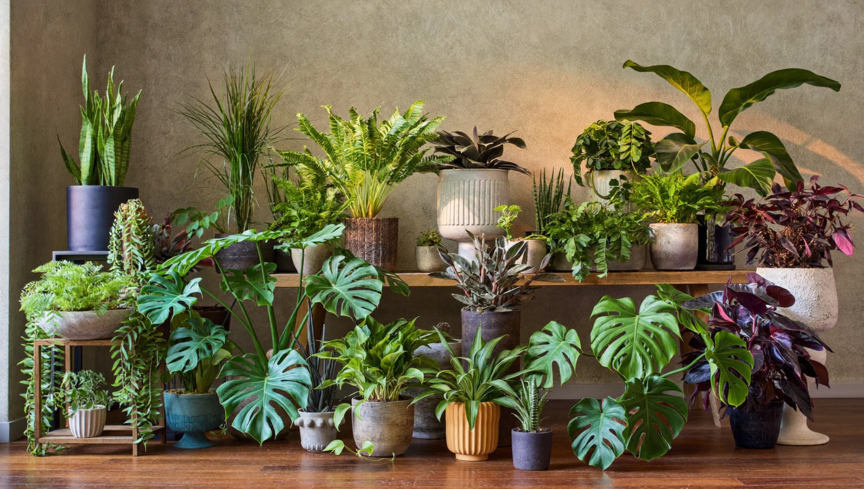 Illustrazione di un ambiente domestico con piante da interno in primo piano
